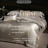  Set Chăn Ga GẤM TƠ TẰM - COLOGNE - MÀU KEM 