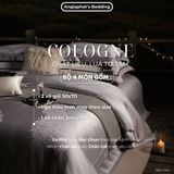  Set Chăn Ga GẤM TƠ TẰM - COLOGNE - MÀU GHI 