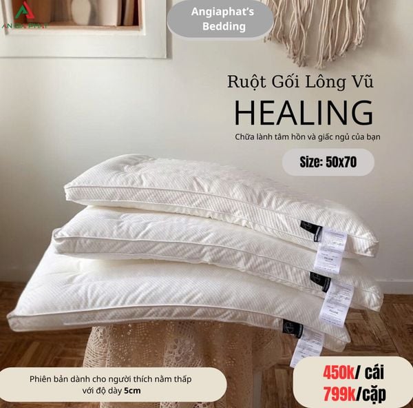  Ruột Gối Thấp 5Cm 