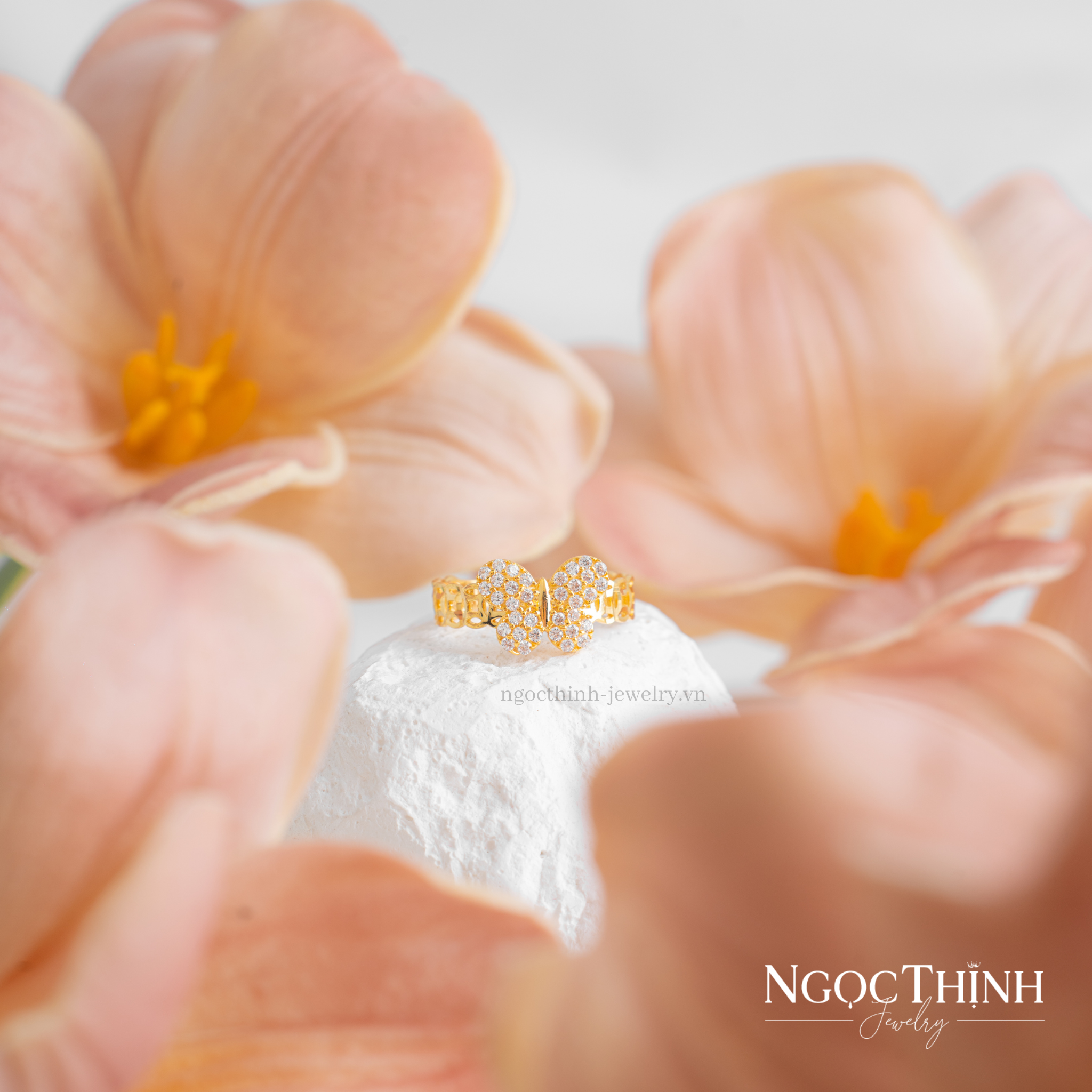 Nhẫn nữ Cz