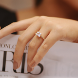 AMOUR COLLECTION #3 /2N111672