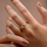 AMOUR COLLECTION #4 /2N110295