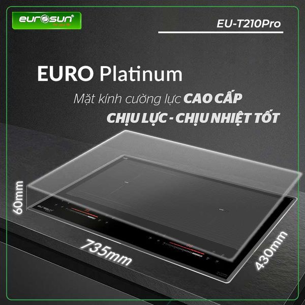 Bếp từ đôi Eurosun EU-T210Pro