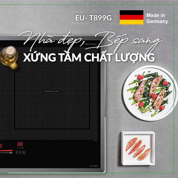 Bếp từ Eurosun EU-T899G