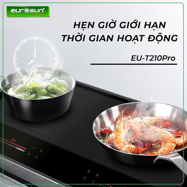 Bếp từ đôi Eurosun EU-T210Pro