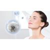 Máy Hút Bụi Có Dây 2000W Bosch BGS21WHYG