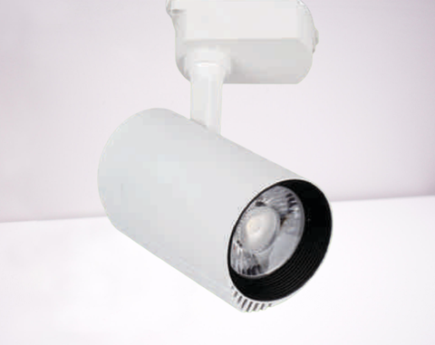 Đèn Rọi Ray 20W TP