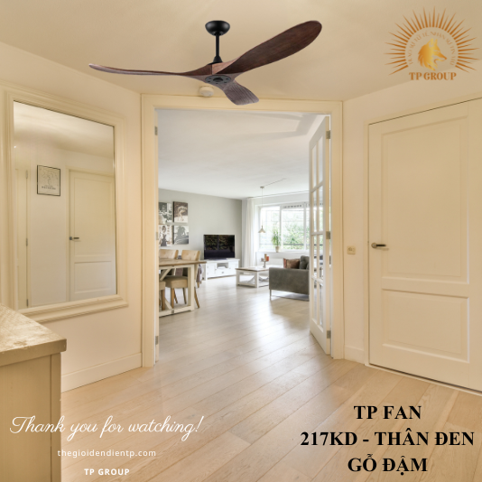 QUẠT TRẦN TP FAN 217KD (LẮP ĐẶT MIỄN PHÍ)