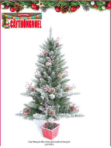 CÂY THÔNG LÁ ĐẦU NHỌN PHỦ TUYẾT CÓ TRANG TRÍ 1M2