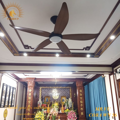 QUẠT CORA WN 56