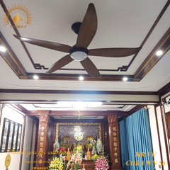 QUẠT CORA WN 56