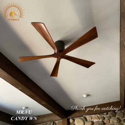 QUẠT TRẦN CANDY WN