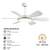 QUẠT TRẦN TP FAN 213 (LẮP ĐẶT MIỄN PHÍ)