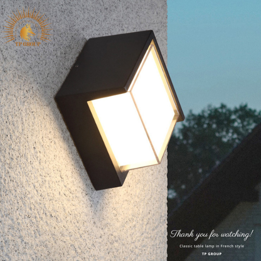 ĐÈN HẮT TƯỜNG NGOÀI TRỜI CTL-2609