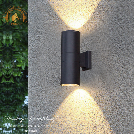 ĐÈN HẮT TƯỜNG CTL-2620-D