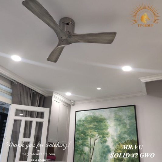 QUẠT SOLID 42 GWO