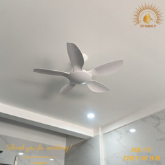 QUẠT TRẦN THIN 40 WH
