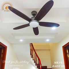 QUẠT TRẦN DAISY SO