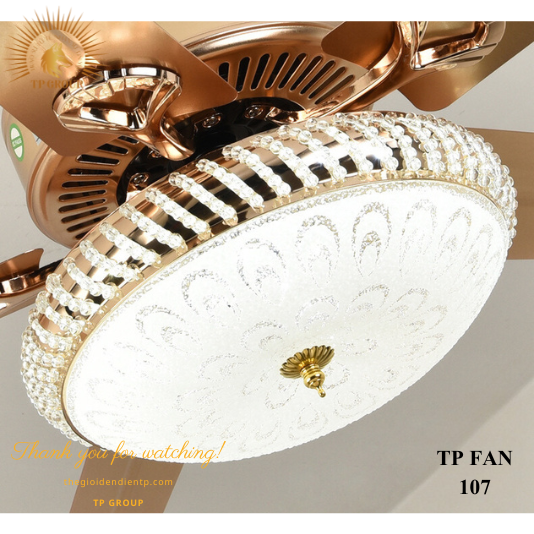 QUẠT TRẦN TP FAN 107 (LẮP ĐẶT MIỄN PHÍ)