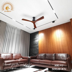 QUẠT TRẦN SOLID WN