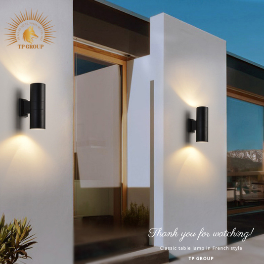 ĐÈN HẮT TƯỜNG CTL-2620-D