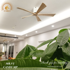 QUẠT TRẦN CANDY MP