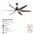 QUẠT TRẦN TP FAN 119 (LẮP ĐẶT MIỄN PHÍ)