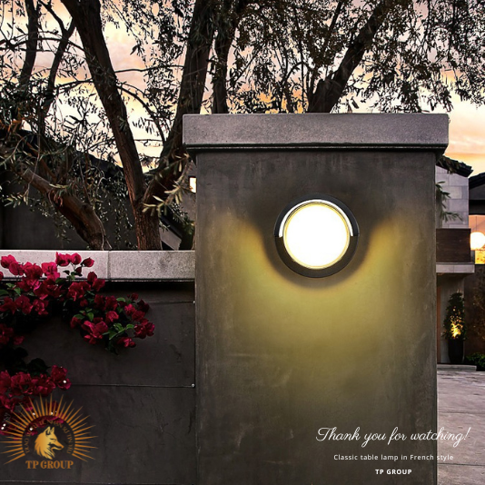 ĐÈN HẮT GẮN TƯỜNG NGOÀI TRỜI CTL-2608