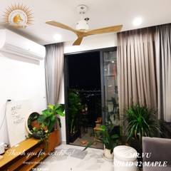 QUẠT SOLID 42 MAPLE