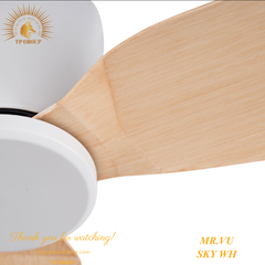 QUẠT TRẦN SKY WH