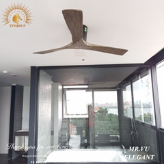 QUẠT TRẦN ELEGANT