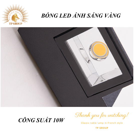 ĐÈN HẮT GẮN TƯỜNG LED CTL-2616