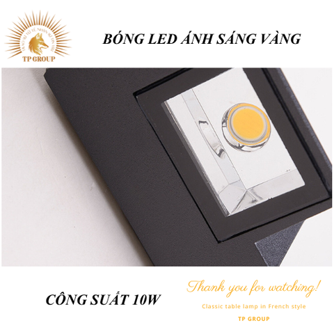 ĐÈN HẮT GẮN TƯỜNG LED CTL-2616