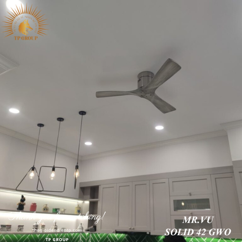 QUẠT SOLID 42 GWO