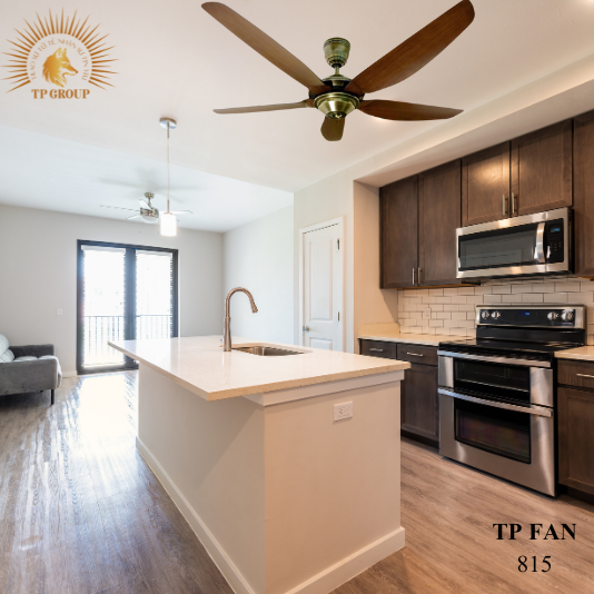 QUẠT TRẦN TP FAN 815 (LẮP ĐẶT MIỄN PHÍ)