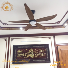 QUẠT CORA WN 56
