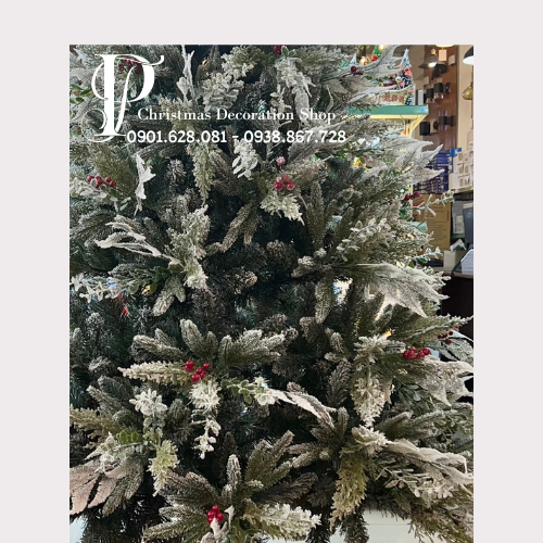 CÂY THÔNG ĐẦU NHỌN 5 LOẠI LÁ PHỦ TUYẾT GẮN TRÁI ĐỎ - CÂY TỰ ĐỘNG