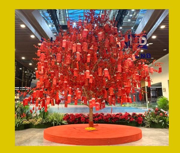 CÂY ƯỚC NGUYỆN - CẦU ĐƯỢC ƯỚC THẤY