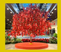 CÂY ƯỚC NGUYỆN - CẦU ĐƯỢC ƯỚC THẤY