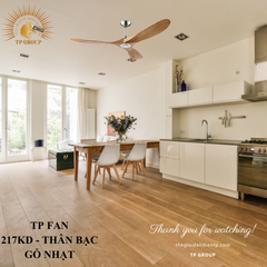 QUẠT TRẦN TP FAN 217KD (LẮP ĐẶT MIỄN PHÍ)