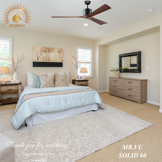 QUẠT TRẦN SOLID 60