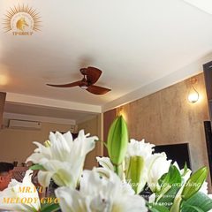 QUẠT MELODY GWO (MIỄN PHÍ LẮP ĐẶT)