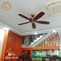 QUẠT TRẦN LEGEND NL (MIỄN PHÍ LẮP ĐẶT)