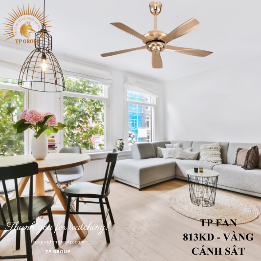 QUẠT TRẦN TP FAN 813KD (LẮP ĐẶT MIỄN PHÍ)