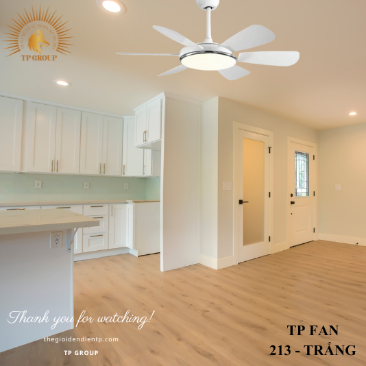 QUẠT TRẦN TP FAN 213 (LẮP ĐẶT MIỄN PHÍ)