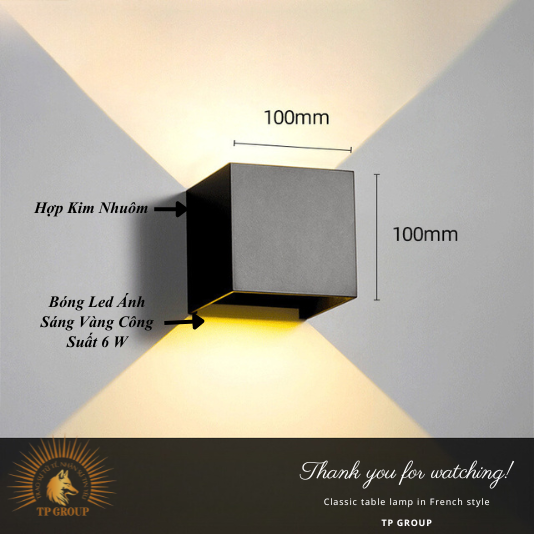 ĐÈN TREO TƯỜNG HIỆN ĐẠI CTL901