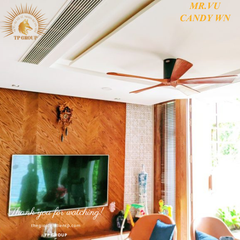 QUẠT TRẦN CANDY WN