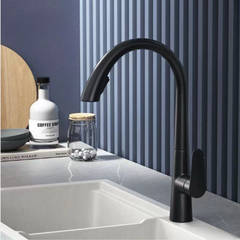 VÒI CHÉN NÓNG LẠNH KA-459