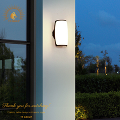 ĐÈN HẮT GẮN TƯỜNG LED CTL-2613