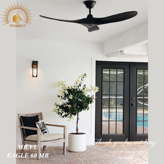 QUẠT EAGLE 60 MB